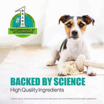 Joint Health Supplement for Large Dogs R97205
