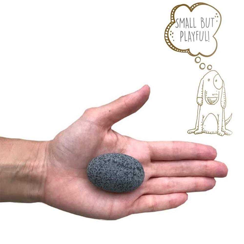 Pet Rock M933