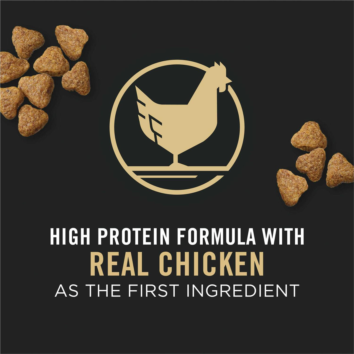 Chicken and Rice Puppy Food N53988