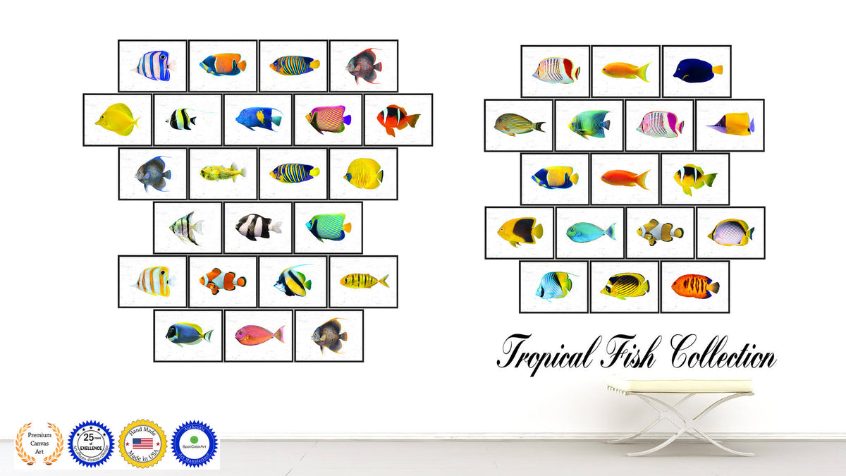 Yellow Clown Tropical Fish Painting Wall Decor U9768