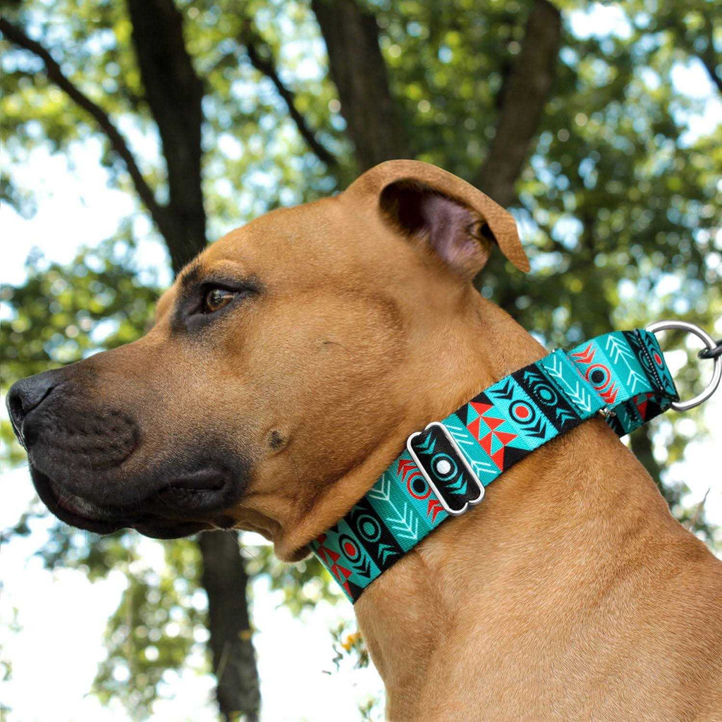 Martingale Dog Collar Nylon Adjustable Heavy Duty N424284