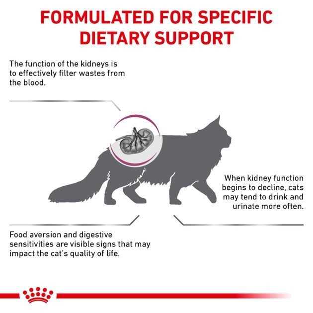 Veterinary Diet Feline Renal Support S Adult Dry Cat Food H503233