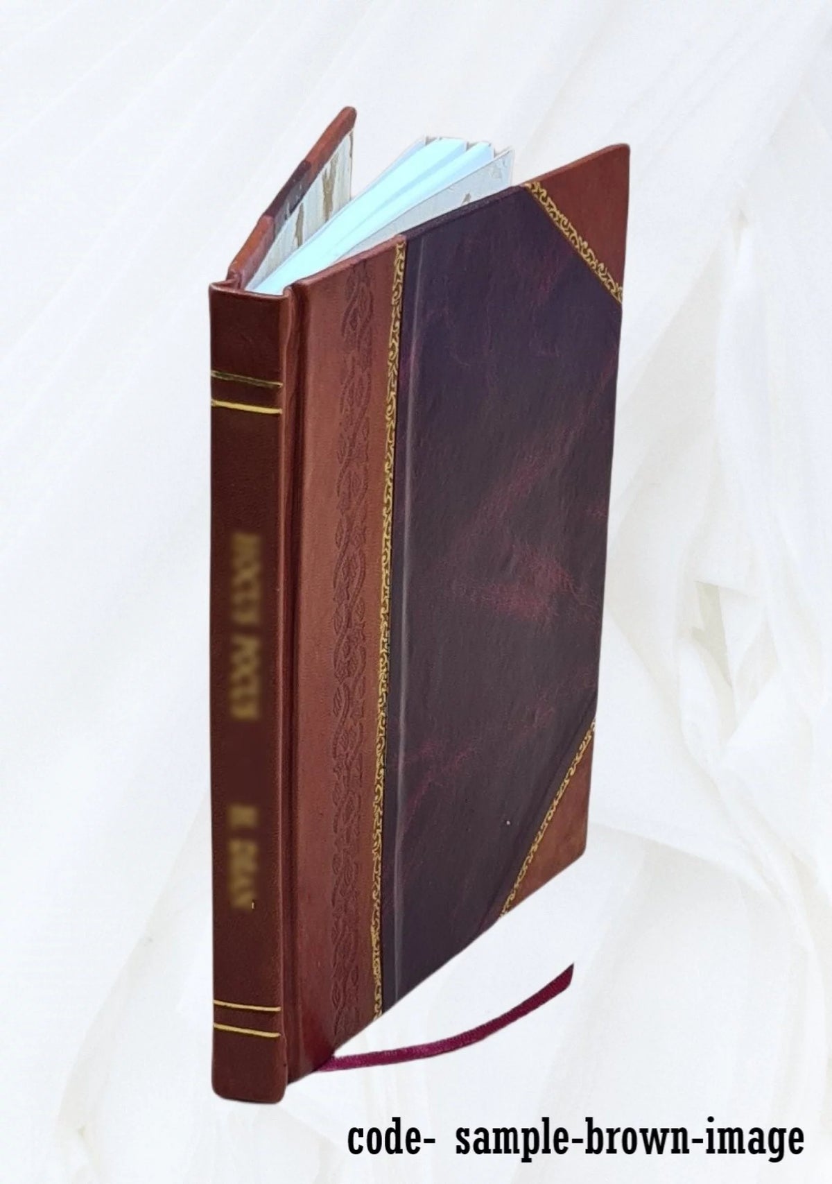 Calendar of State Papers Domestic Series Charles II 1676-1677 Leather Bound H34042