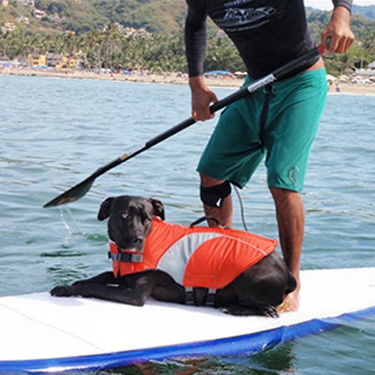 Canine Life Jacket J63838