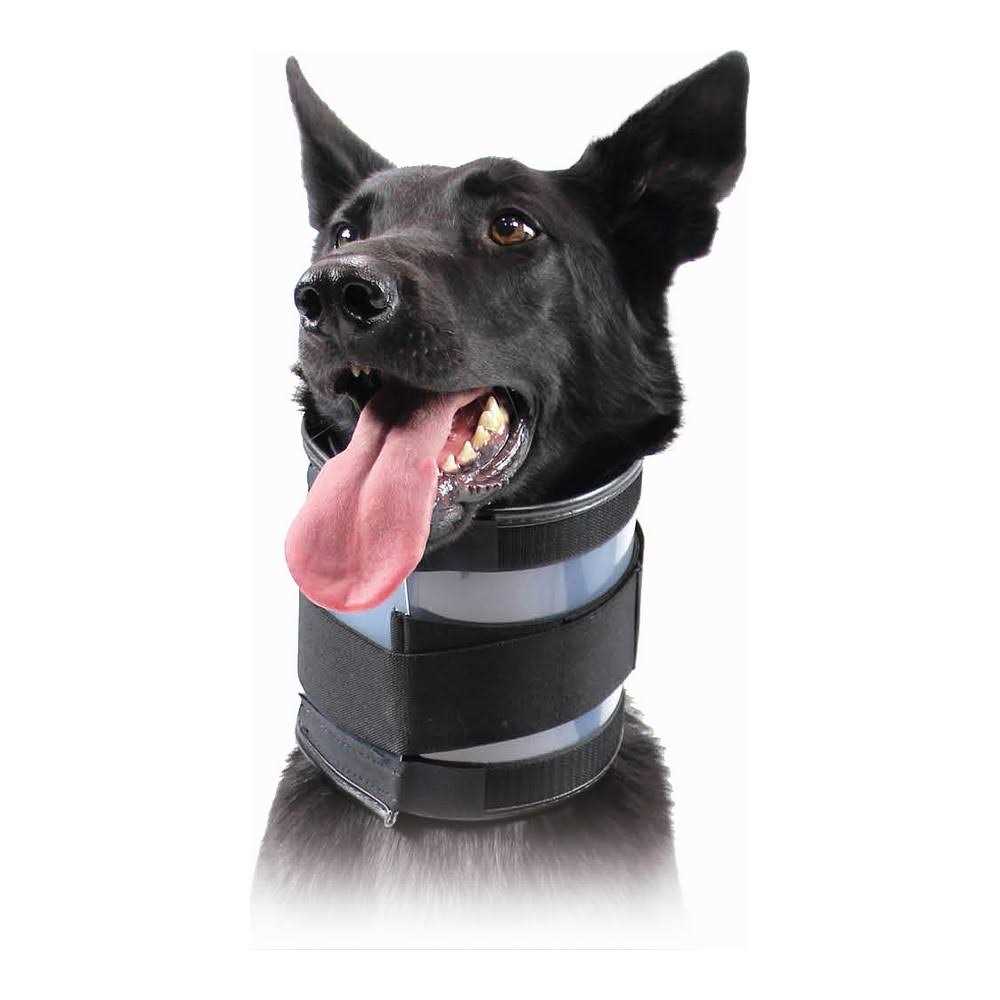 Cervical Collar B4516