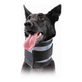Cervical Collar B4516