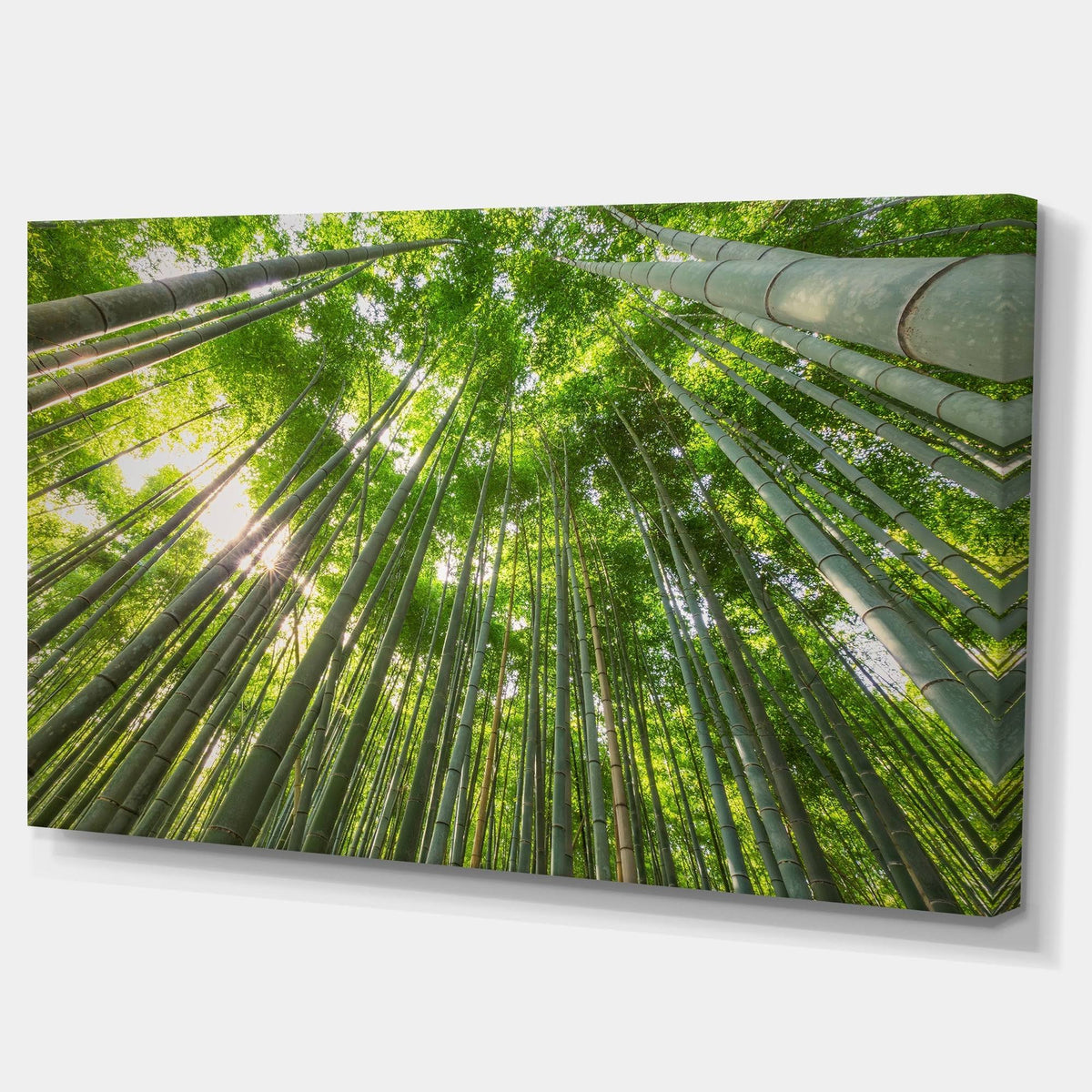 Oversized Forest Canvas Artwork Print H72920