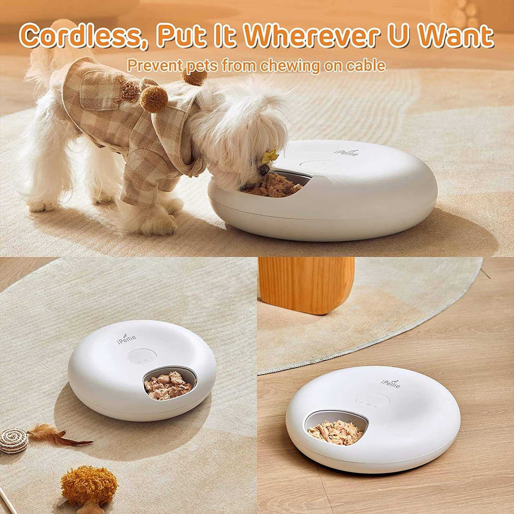 Automatic Pet Feeder Y12421