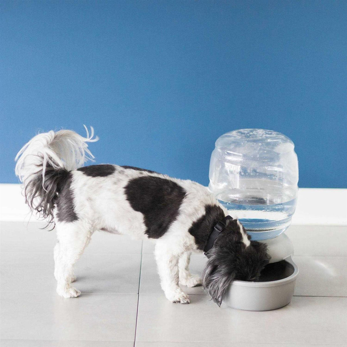 Petmate Replendish Waterer With Microban N342