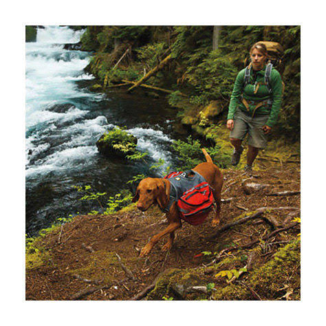 Medium Red Currant Palisades Pack B183698