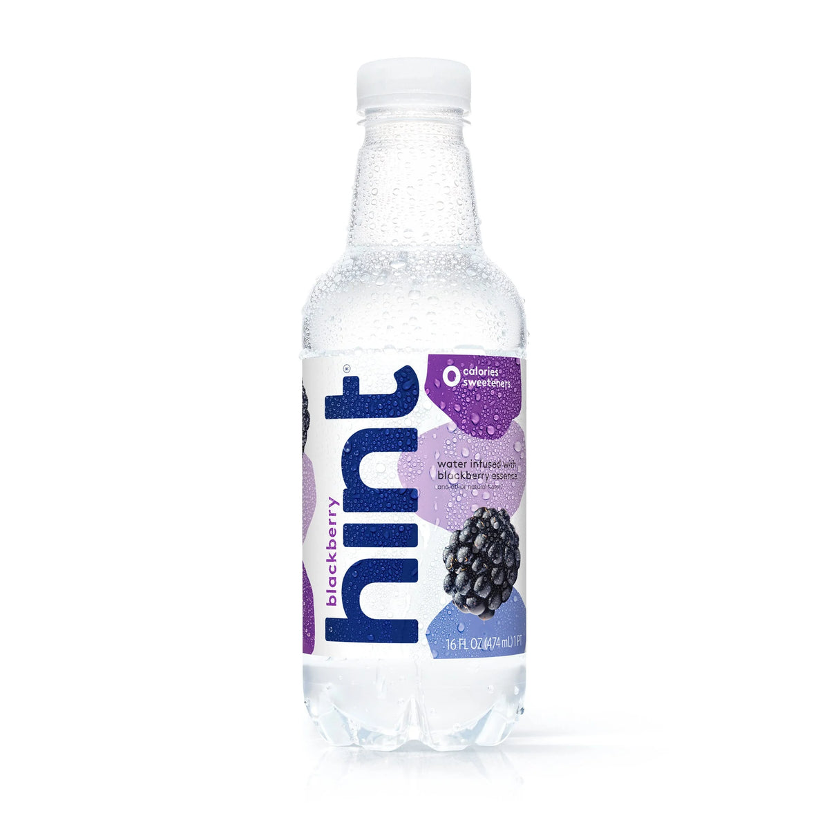 Blackberry Water, 16 Ounce Bottles, Pack of 12 V221923