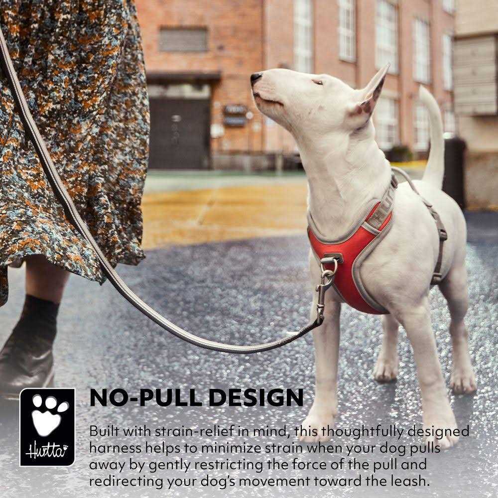 No-Pull Dog Harness O60519