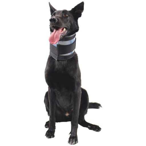 Cervical Collar B4516