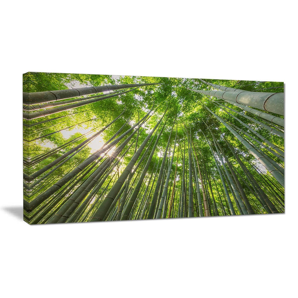 Oversized Forest Canvas Artwork Print H72920