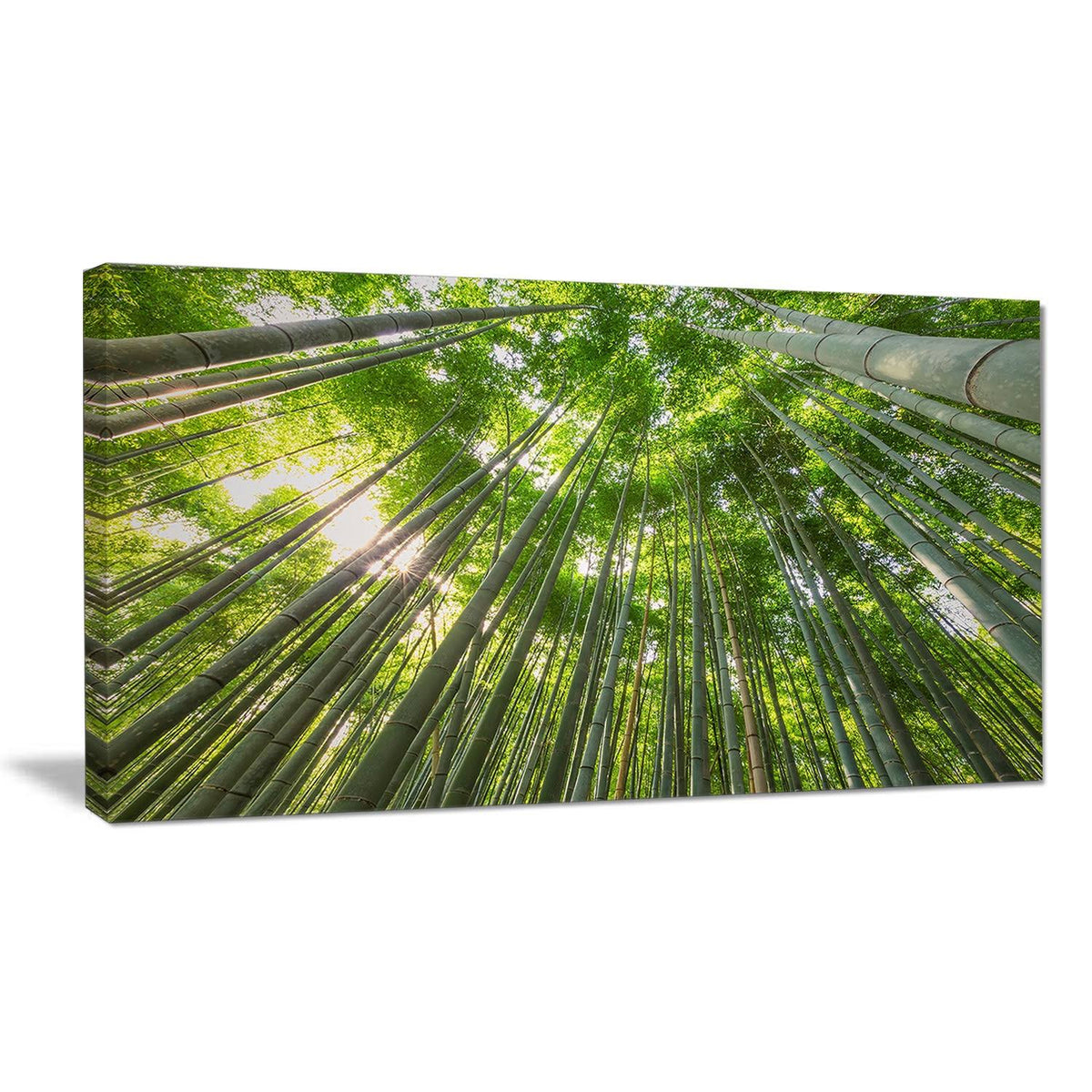 Oversized Forest Canvas Artwork Print H72920