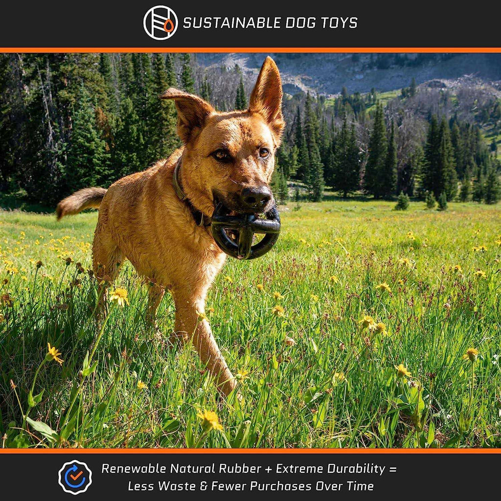 Tough Dog Toys for Aggressive Chewers Large Breed B660757