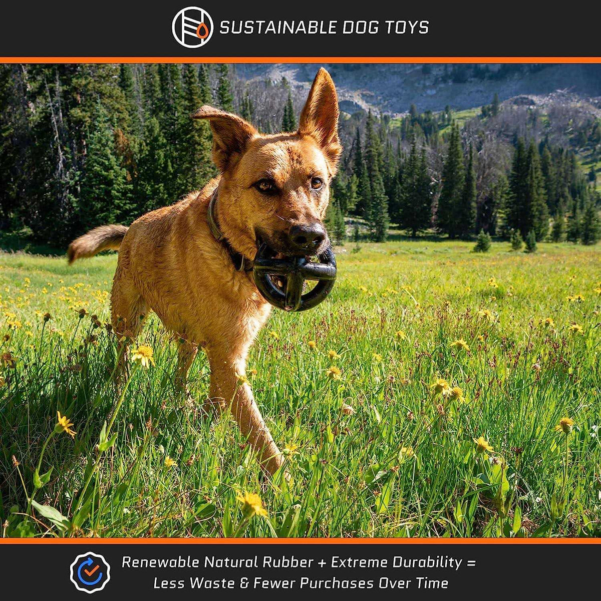 Tough Dog Toys for Aggressive Chewers Large Breed B660757
