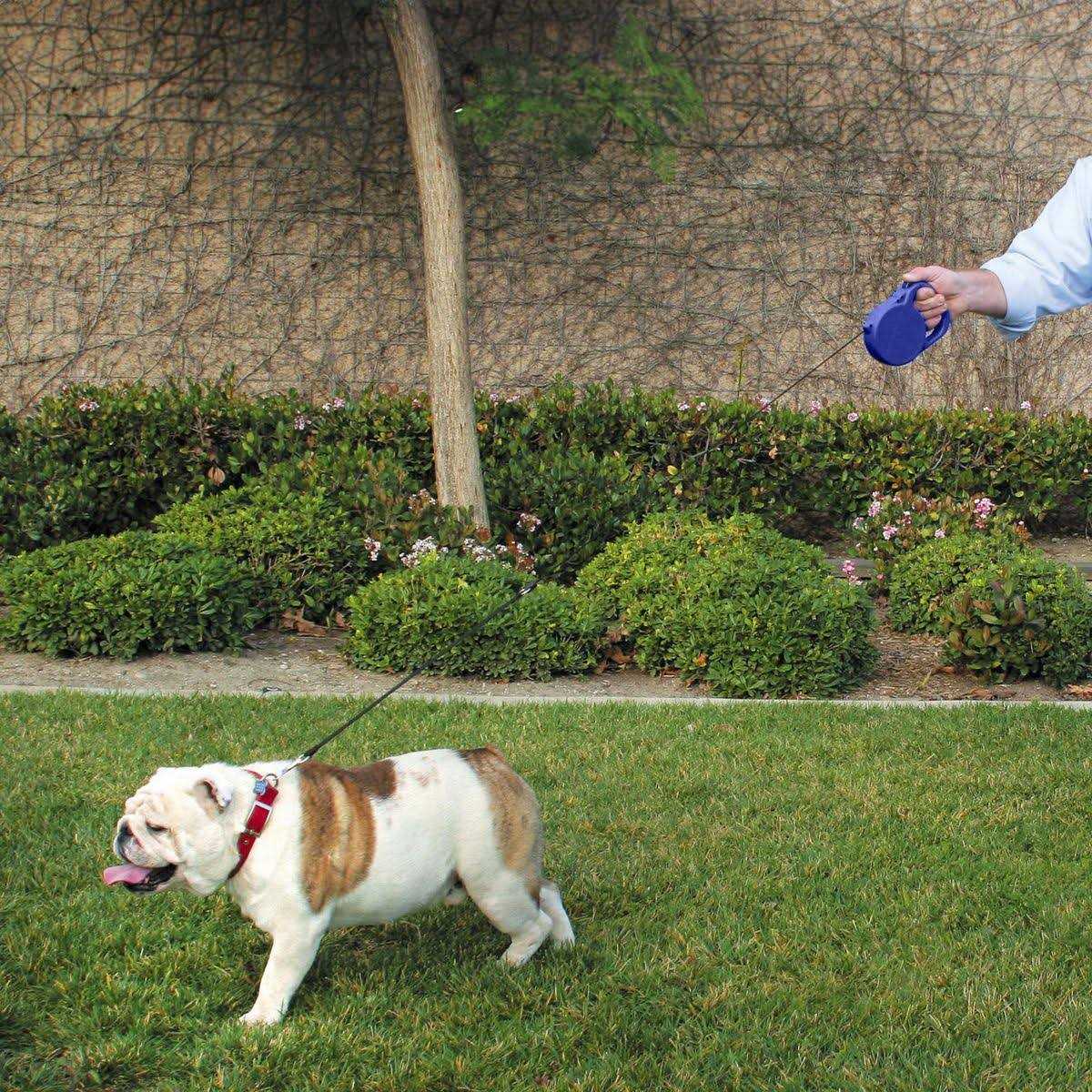 24 ft. Retractable Dog Leash E87258