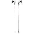 Carbon Ski Poles M1259
