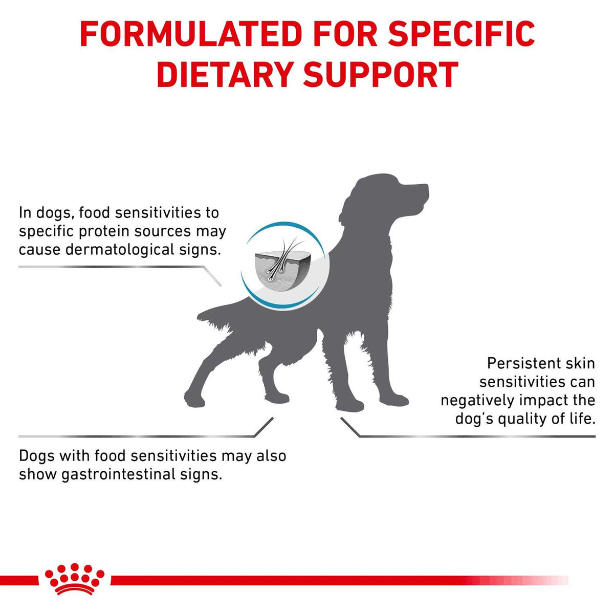 Hydrolyzed Protein Adult Dry Dog Food Z67998