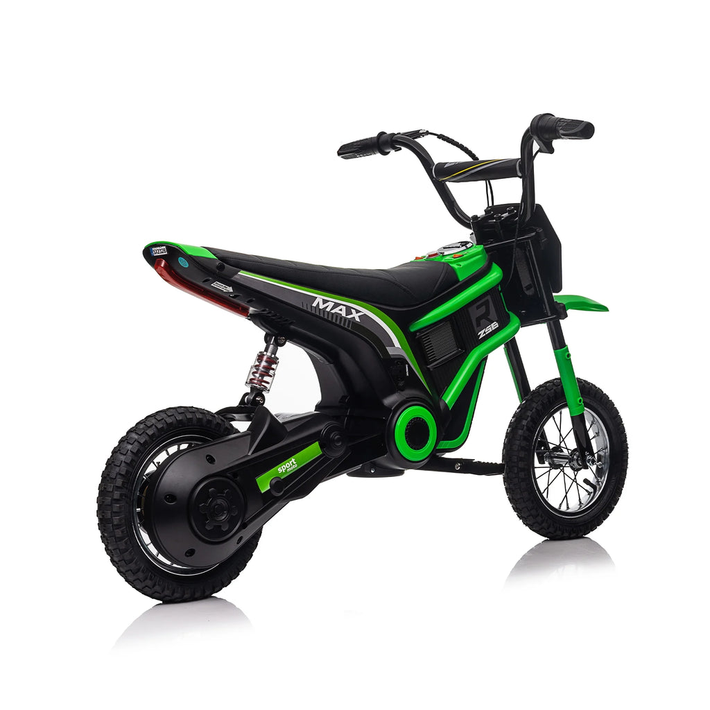 24V 350W Blue Electric Dirt Bike V1036