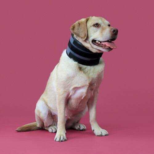 Cervical Collar B4516