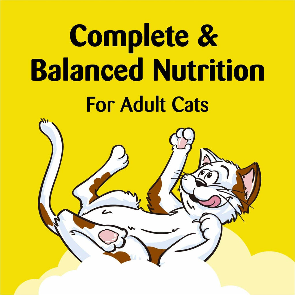 Soft & Crunchy Cat Treats K13817