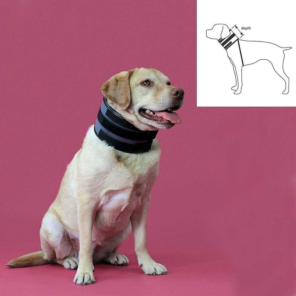 Cervical Collar B4516