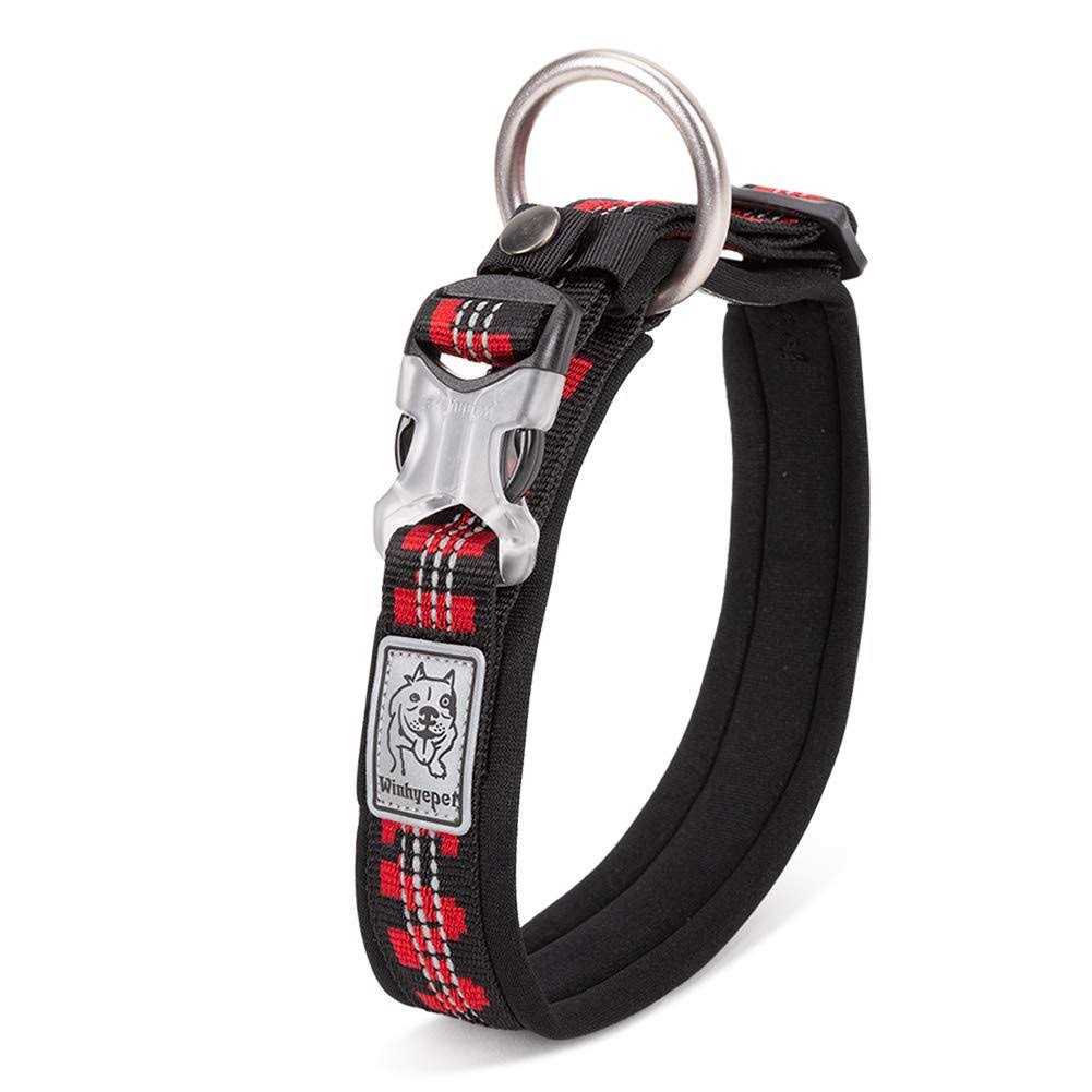 Premium Dog Collar Q18177
