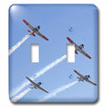 Double Toggle Switch L512