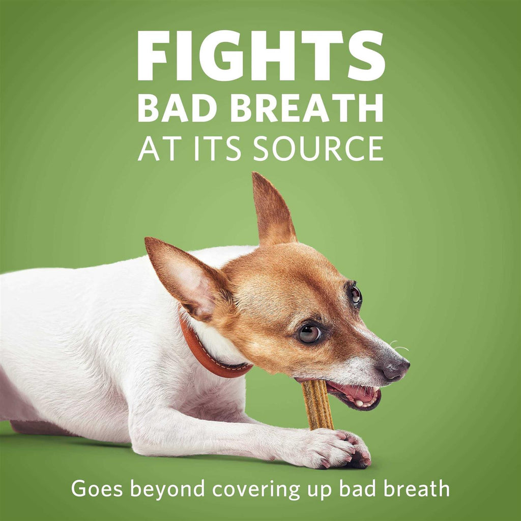 Daily Oral Care Mini Dog Chews S14272