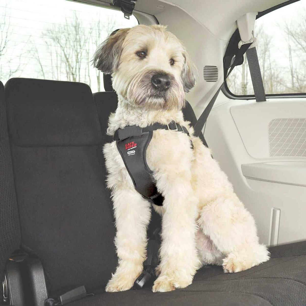 Car Harness R76242