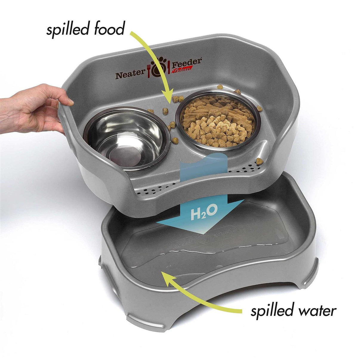 Dog Feeder B804748