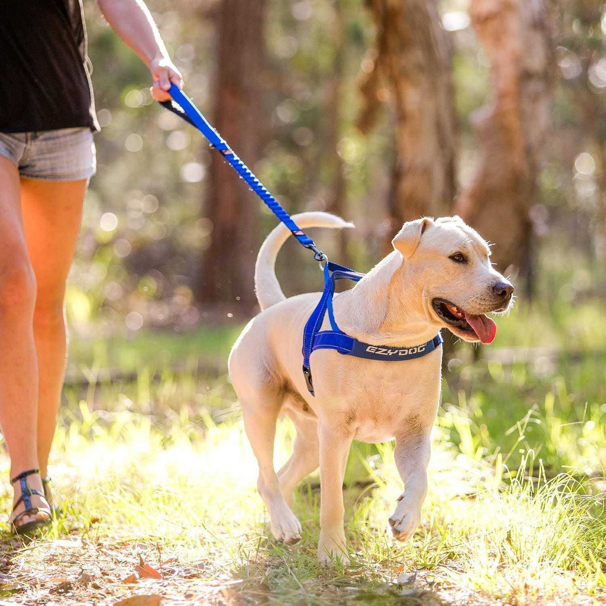 Zero Shock Dog Leash Y340842