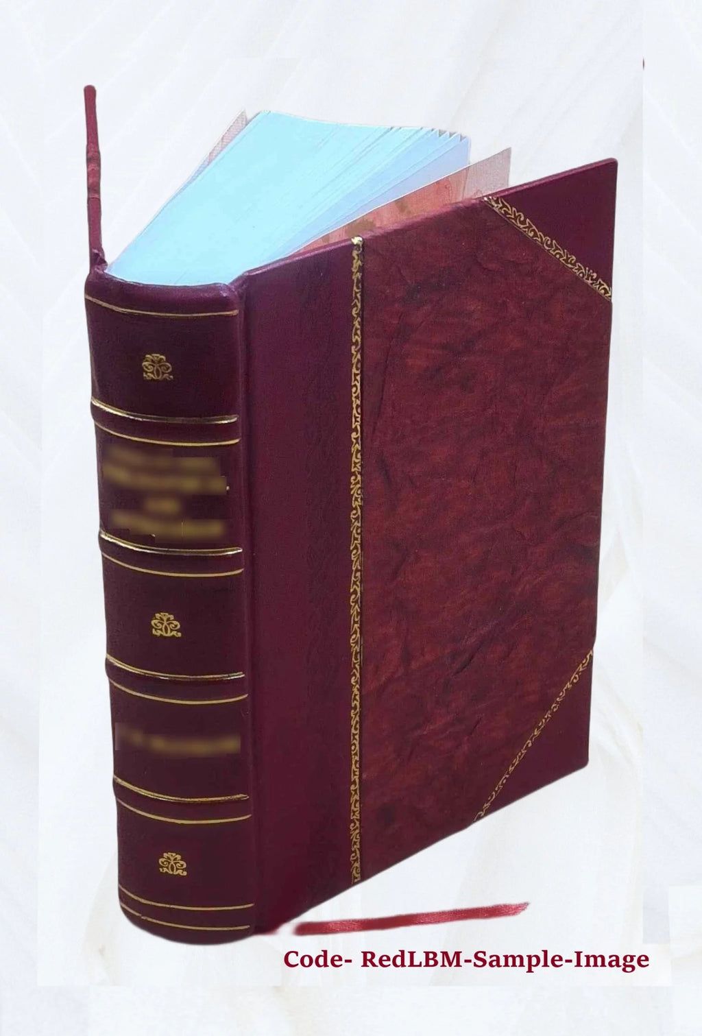 Electric Law P61402