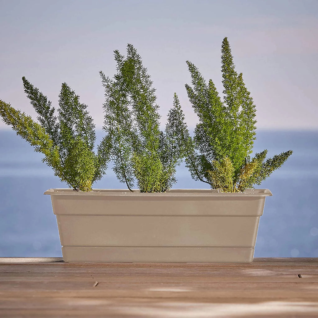 Window Box Planter with Tray 24" W19572
