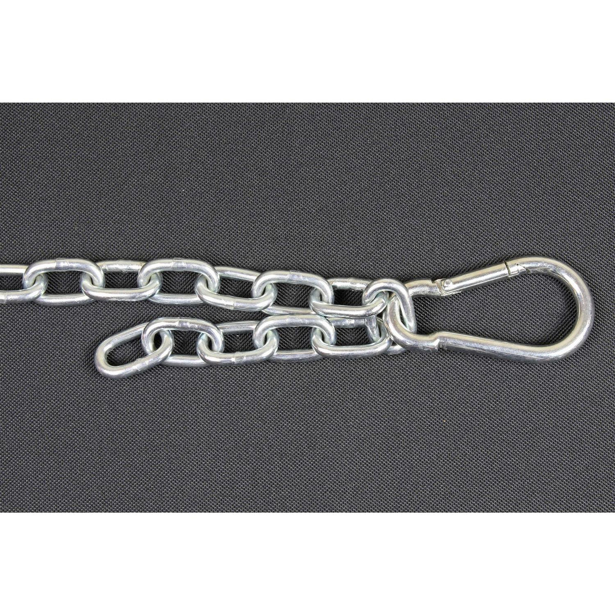 Chew Proof Dog Tether Chain Pet Leash Harness H535740
