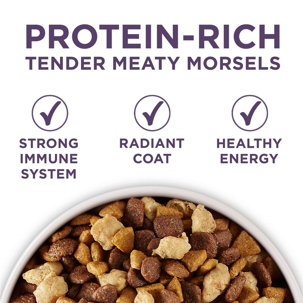 Adult Dry Dog Food U52903