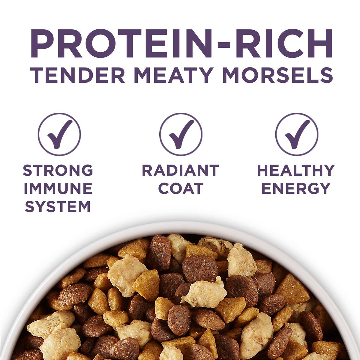 Adult Dry Dog Food U52903