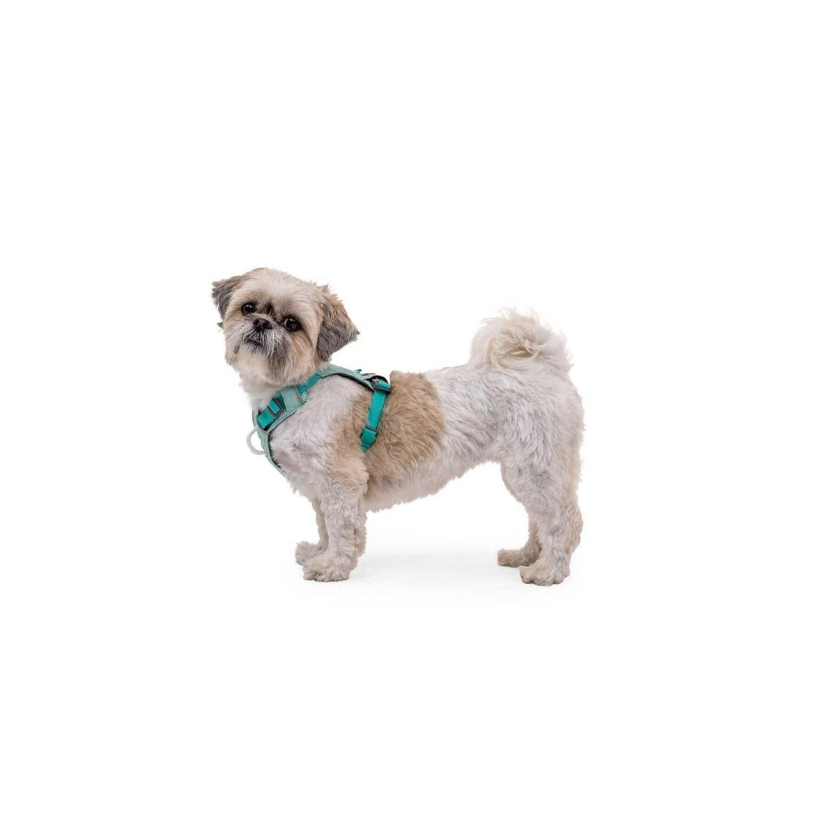 Hi & Light Dog Harness C30811
