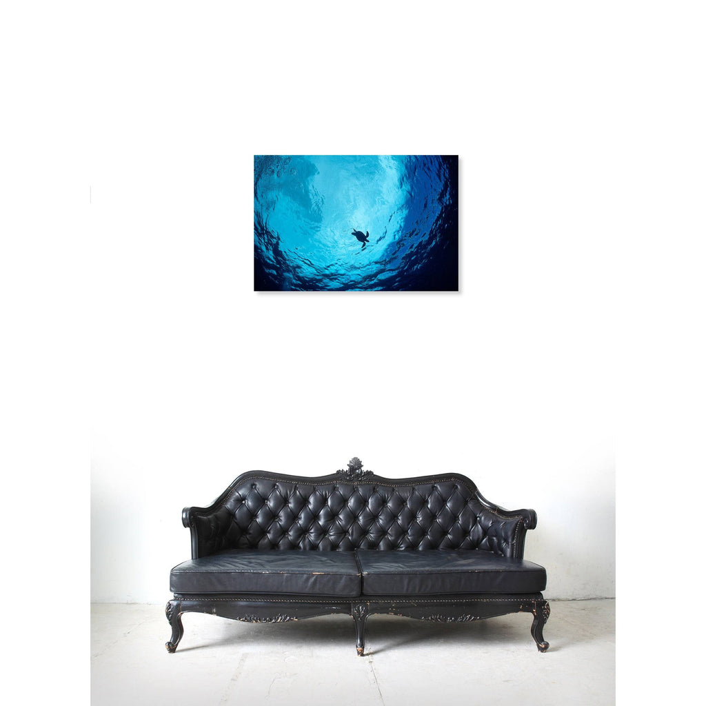 Blue Green Sea Turtle Canvas Art N42702