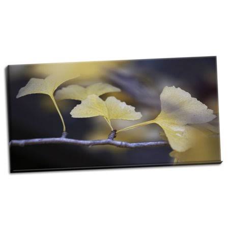 Photographic Print on Wrapped Canvas Z3414