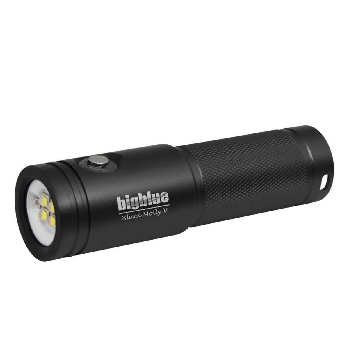 2600 Lumen Extra-Wide Beam LED Dive Light Black Q468