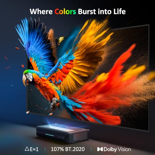 Aurora Pro Projector Q571