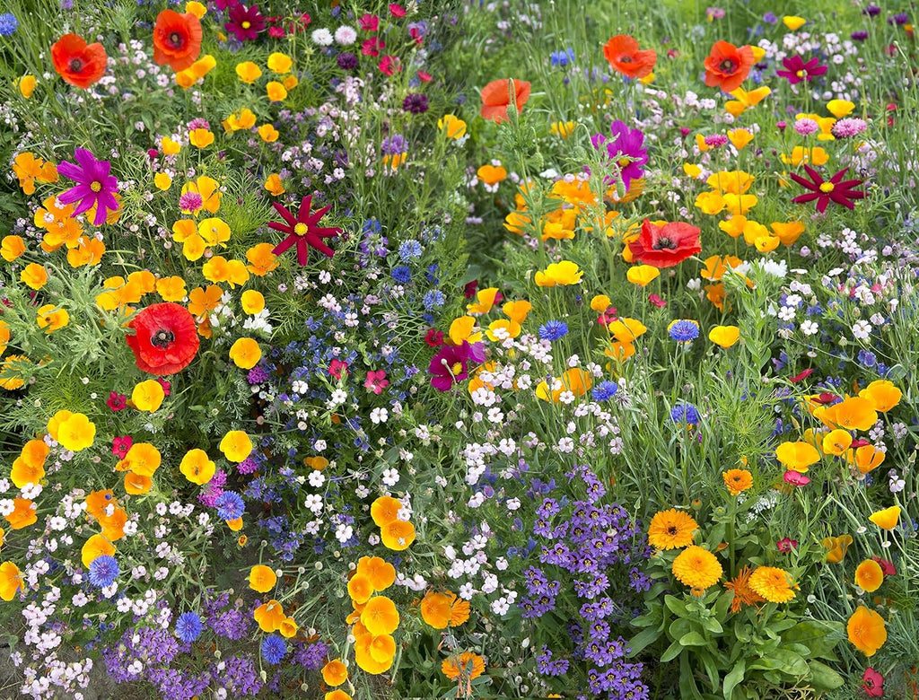 Wildflower Mix V416344