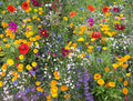 Wildflower Mix V416344