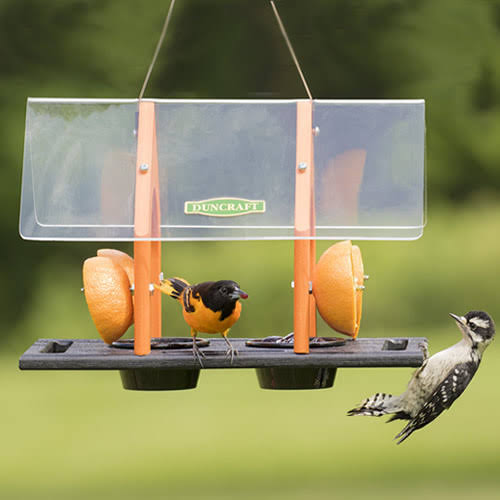 Super Sized Oriole Feeder O405420