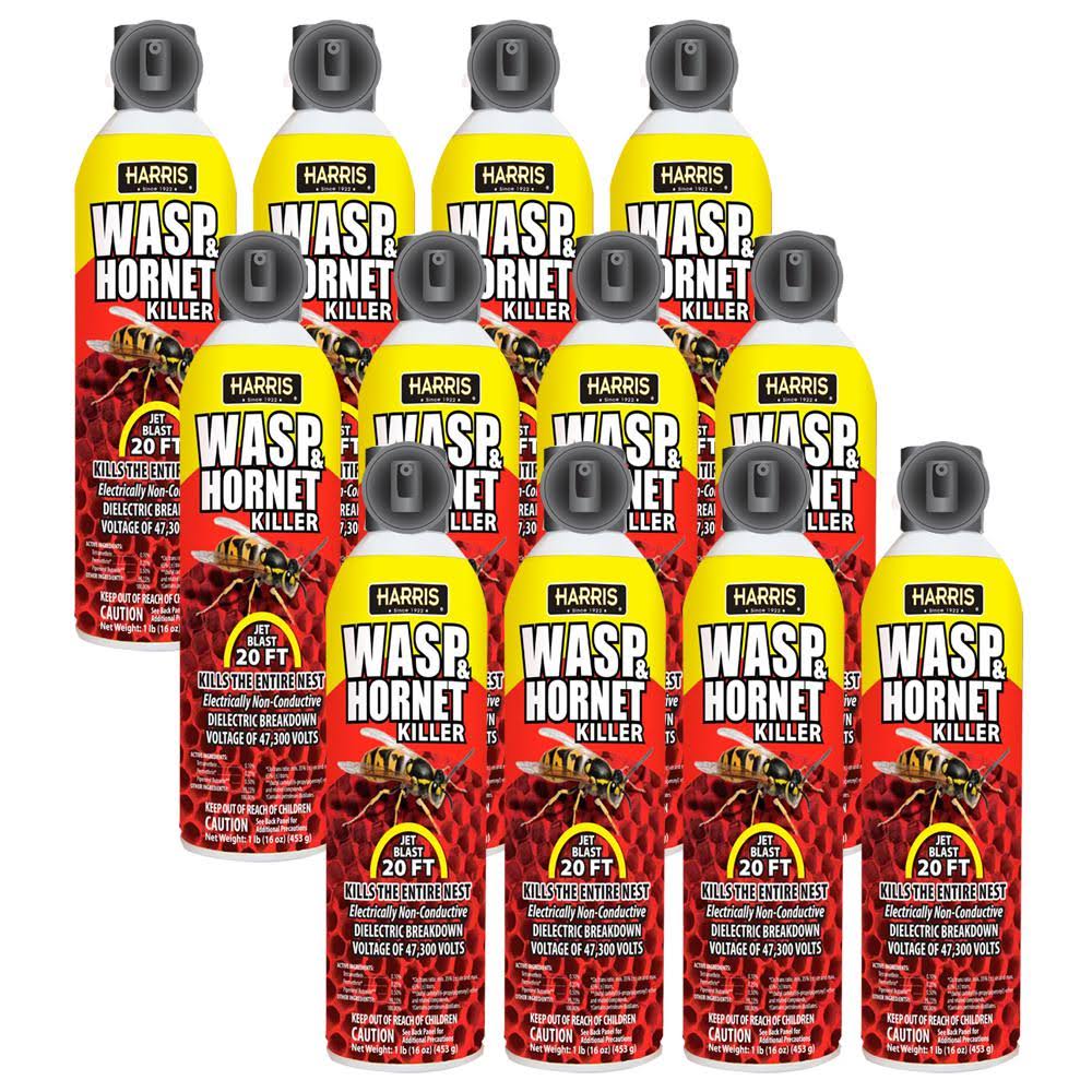 16 oz Wasp and Hornet Killer 12-Pack K2802