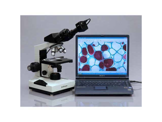 40X-1600X Compound Biological Microscope M150250