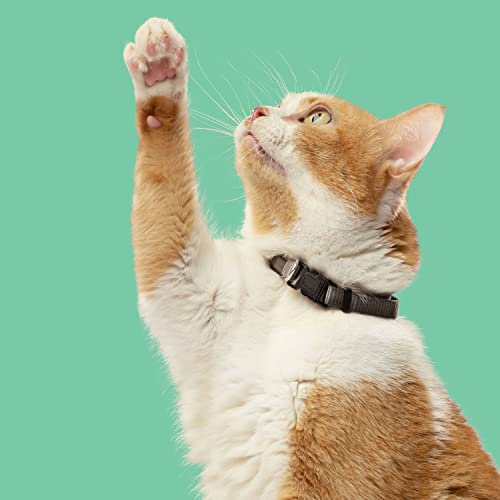 14 Pounds Dry Cat Food with Chicken, Lentils & Salmon M7364